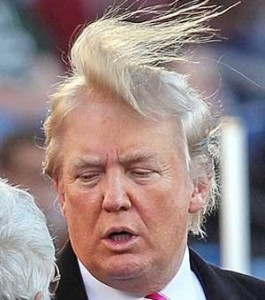 Donald-Trumps-Hair_zpswqc4ev8g